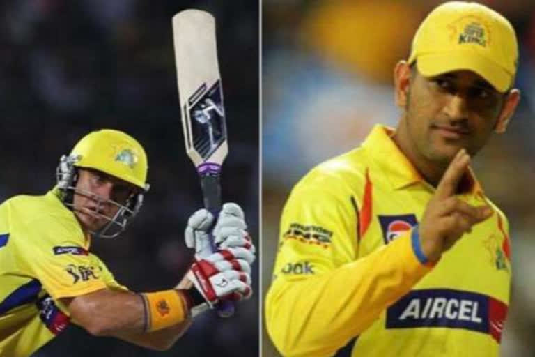 Matthew Hayden, MS Dhoni's reaction on mongoose bat,  mongoose bat, please do not use this bat, ଦୟାକରି ଏହି ବ୍ୟାଟ ବ୍ୟବହାର କରନି, ମଙ୍ଗୁସ ବ୍ୟାଟ ନେଇ ଧୋନିଙ୍କ ପ୍ରତିକ୍ରିୟା