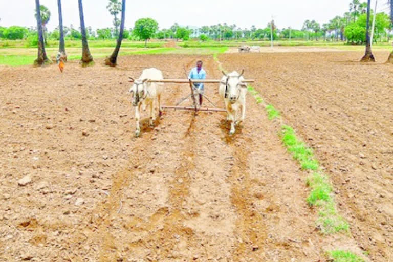 peddapalli farmers ready for kharif cultivation