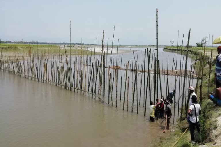 Kalgachia Bamboo Parkupine made by kharballi villager