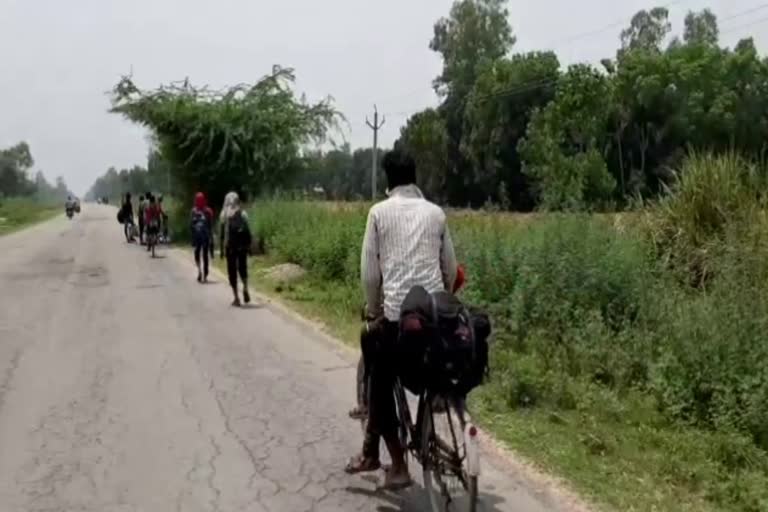 laborers left from haryana to bihar by bicycle