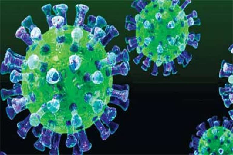 coronavirus news