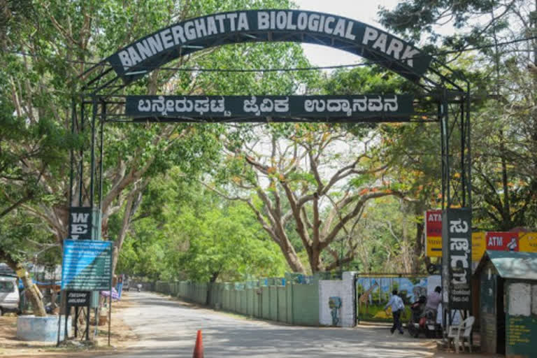 Bengaluru zoo