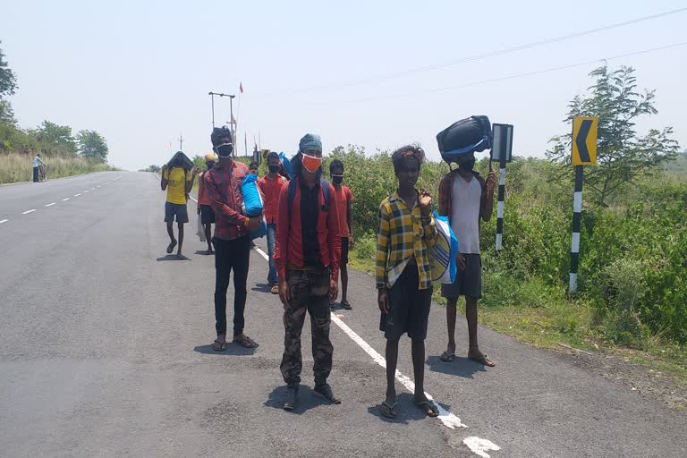 Laborers on foot from Dhanbad to Odisha