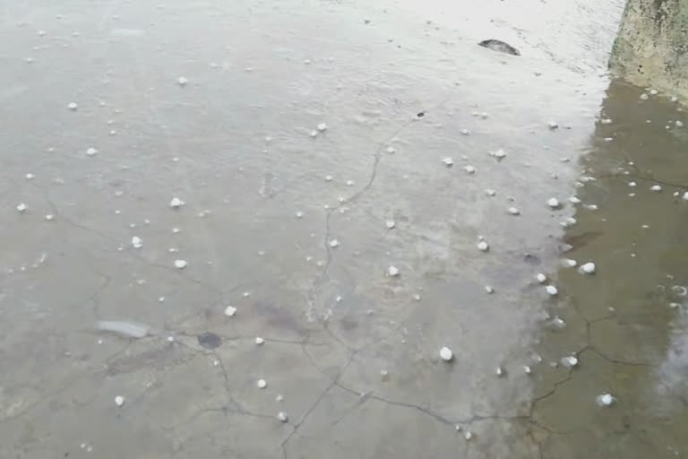 Rain showers in chhatarpur