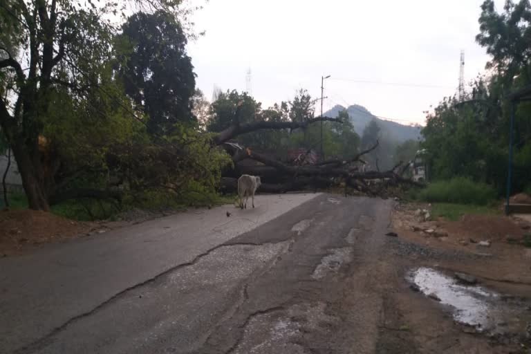 Roadblock on Rourkela NH-143 in storm