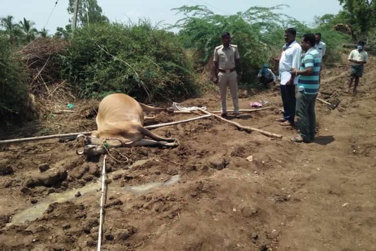 ಬಳ್ಳಾರಿಯಲ್ಲಿ ವಿದ್ಯುತ್ ಶಾಕ್​ ತಗುಲಿ