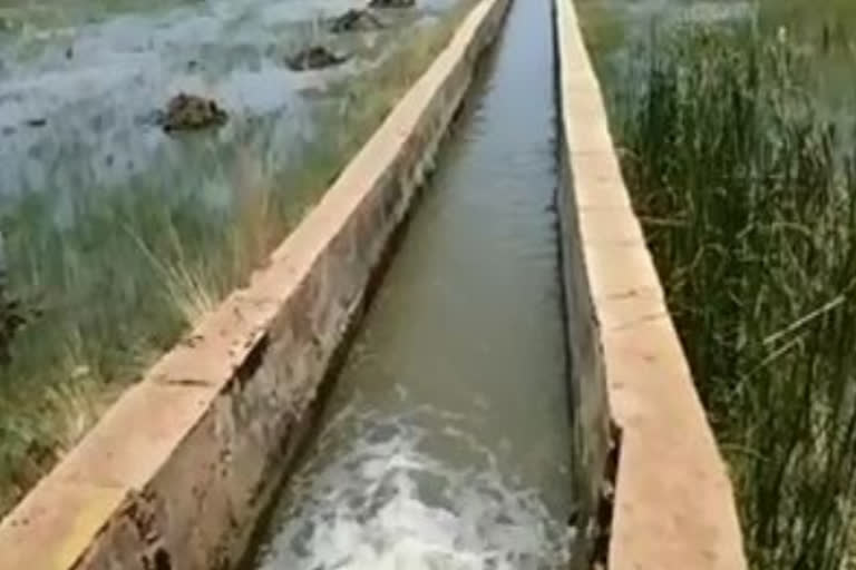 pond water waste at kanala kurnool district