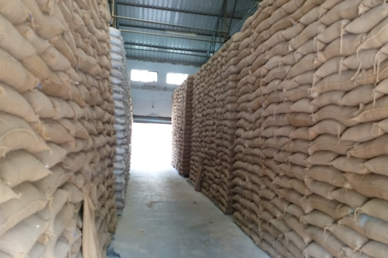 नागौर में गेहूं का भंडारण, नागौर में गेहूं वितरण, Wheat Distribution in Nagaur, Wheat storage in Nagaur