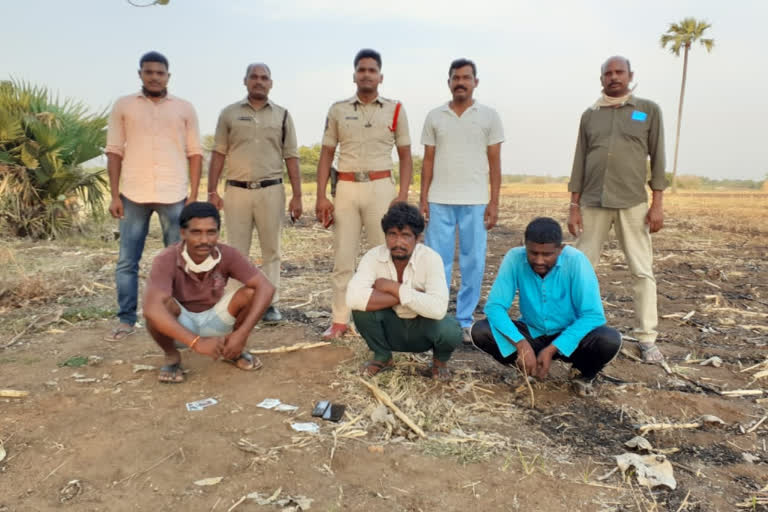 pekata players arrested in warangal rural district