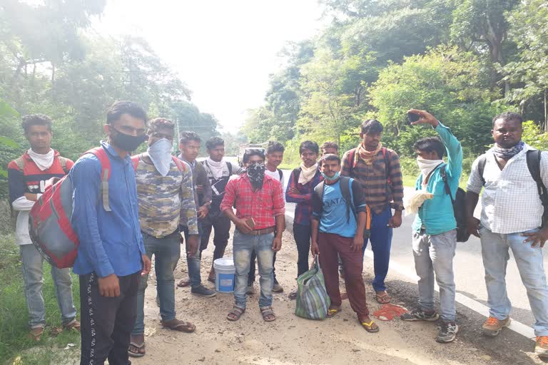 workers-who-set-out-on-foot-from-kodagu