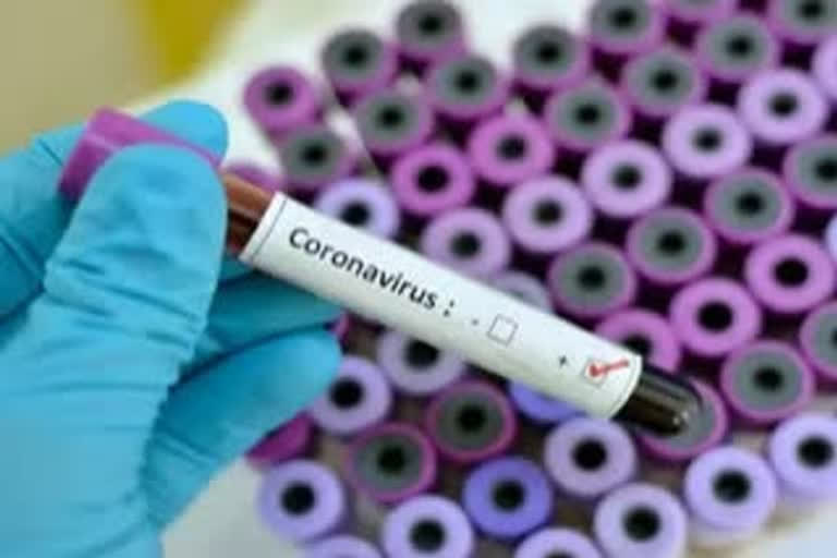 coronavirus cases  Nepal covid 19  kathmandu  western nepal  kapilvasthu  കാഠ്‌മണ്ഡു  നേപ്പാളിൽ കൊവിഡ്  കൊറോണ  കപിൽവാസ്‌തു  സജീവ കേസുകൾ