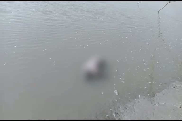 deadbody recovered in hatsingimari