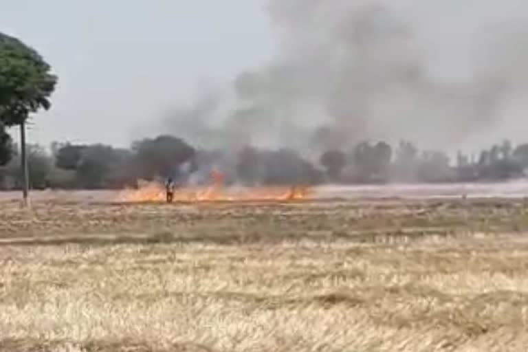 Farmer fined 5 thousand in Tohana for burning stubble