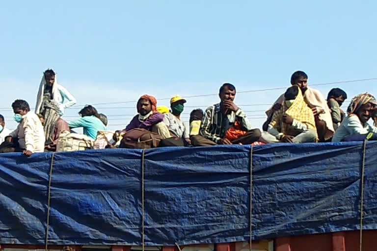 labourers reached raipur