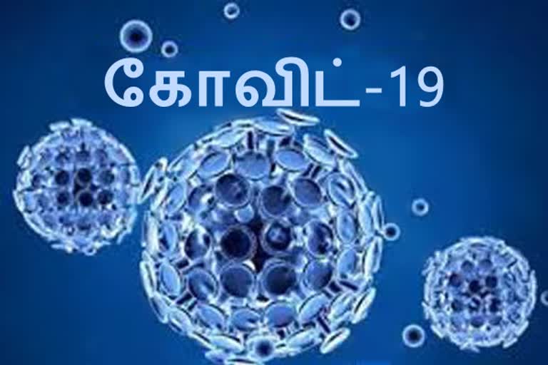 விருதுநகரில் ஒரே நாளில் 100 பேருக்கு கரோனா பாதிப்பு!