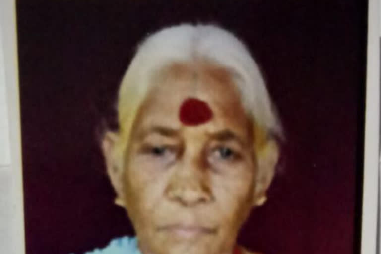 old lady died in viziangaram dst  sallore due to illhealth