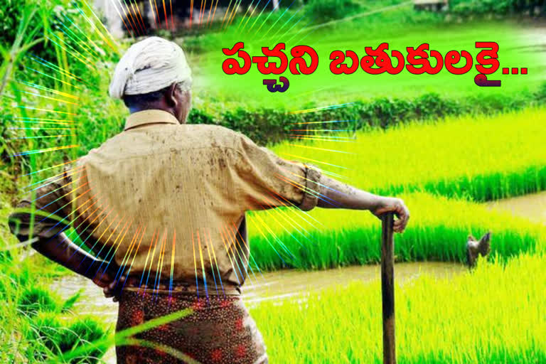 telangana has became an ispiration to country in agricultural plannings