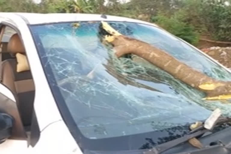 tree falls on car in national highway at unguturu