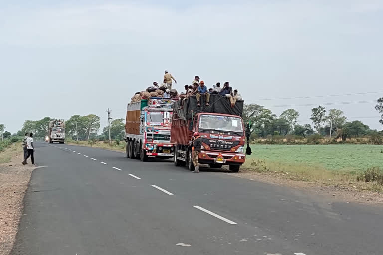 Workers returning home after putting their lives on the palm in Narsinghpur