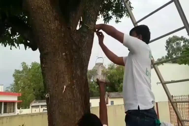 food and water to birds