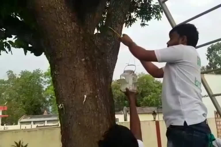 Green tiger group while refilling the gallons