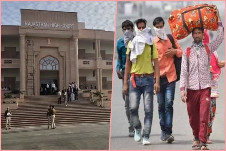 Return of Rajasthani Migrants, Rajasthan High Court News