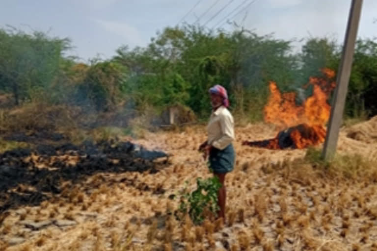 fire in farmer land at vijayawada