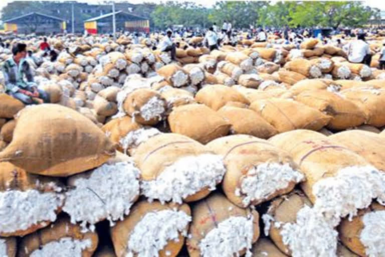 cotton purchase started in khammam district