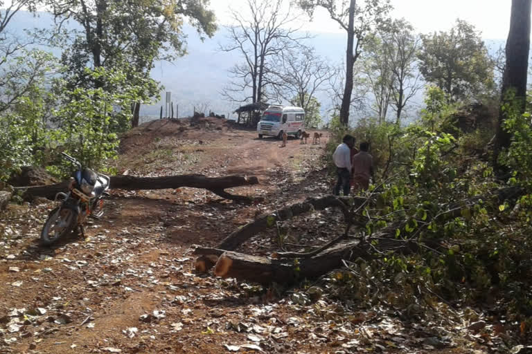 Villagers cutting trees and blocking  road in Kawardha