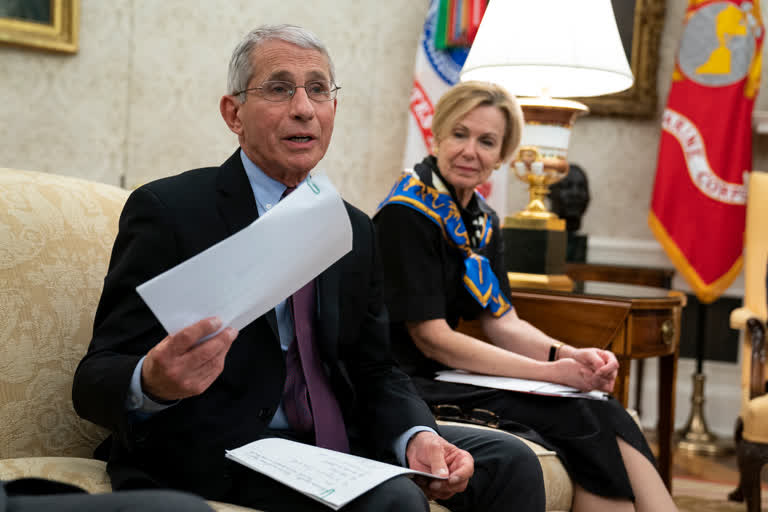 Fauci warns of 'suffering and death' if US reopens too soon