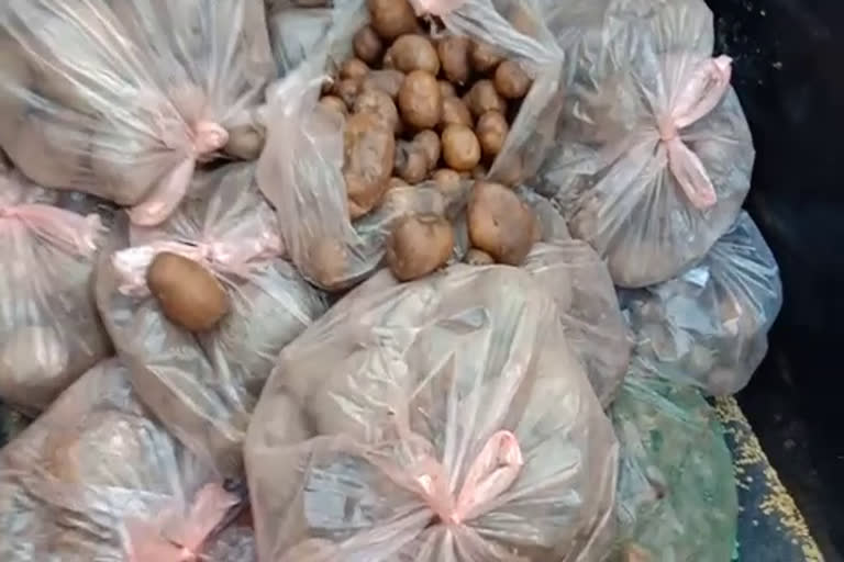 rotten potatoes distributed to needy in sultanpur