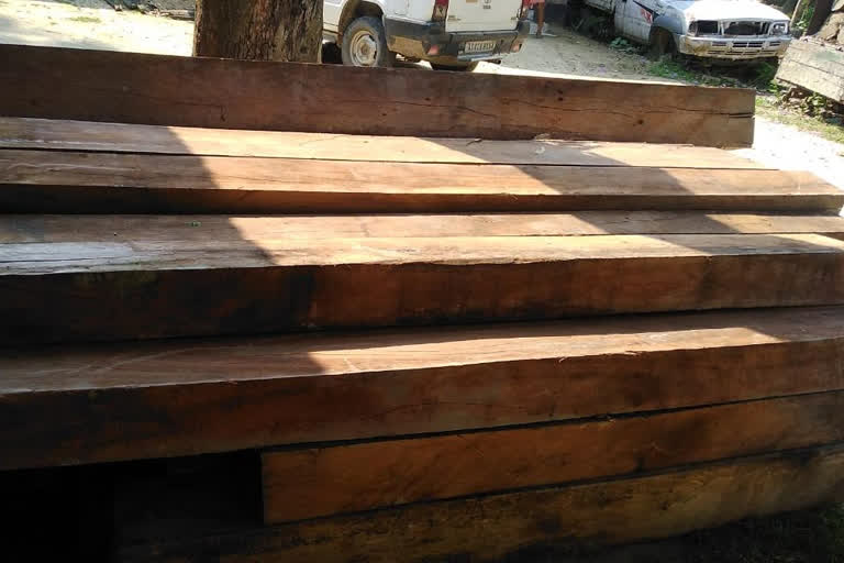 NAGAON ILLEGAL TIMBER SIZED