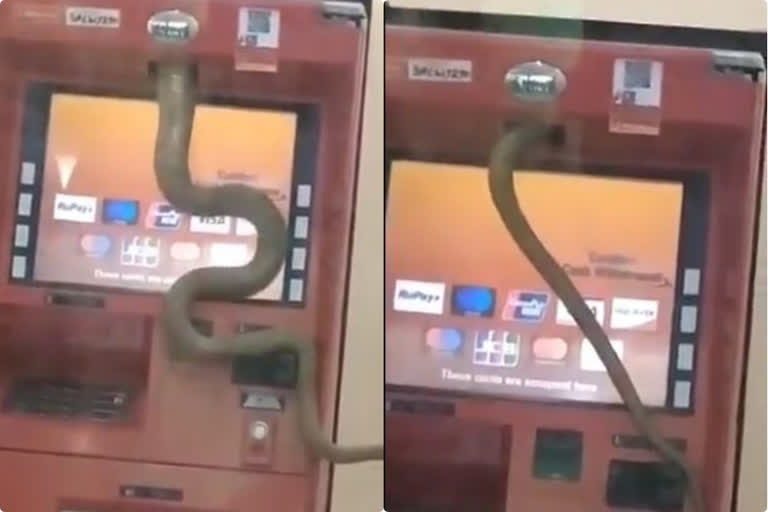 snake entered the ATM mission at Ghaziabad, Uttar Pradesh