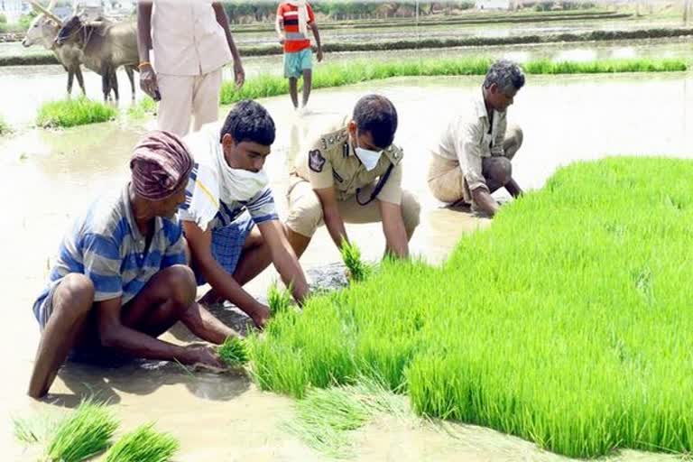 tirupati-sp-encouraged-farmers-during-the-lockdown