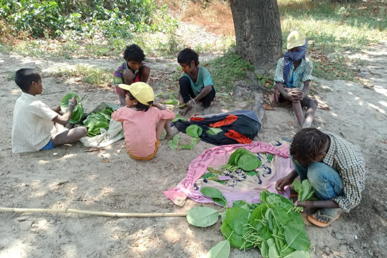 पत्ते बेंचकर अपने परिवार का गुजर-बसर कर रहे