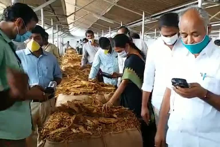 addhanki MLA  examined the tobacco auction center in vellampalli