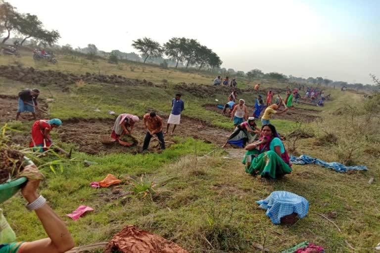 one-lakh-laborers-got-employment-under-mnrega-in-kawardha