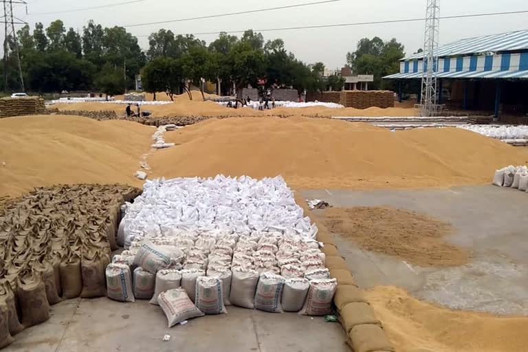 charkhi dadri farmers problems in grain market