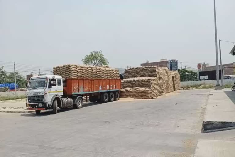 truck driver absconded wheat narnaund grain market