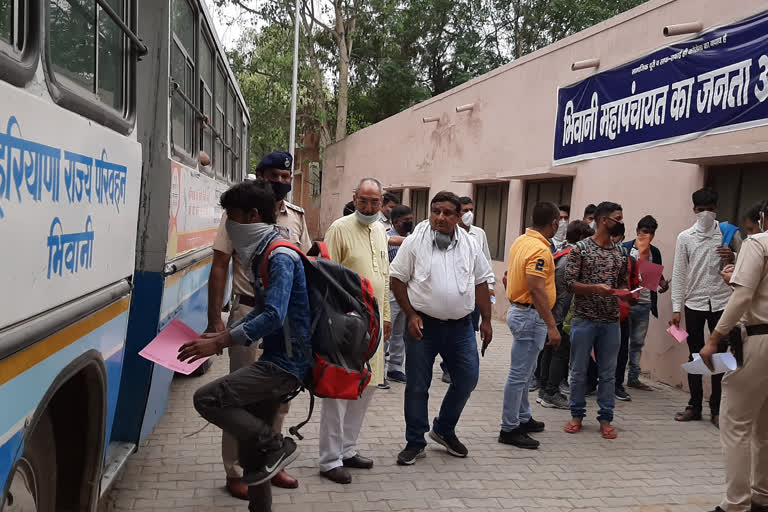 migrant labourers went to rohtak via buses from bhiwani