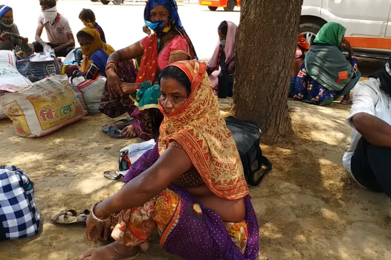 Workers from Gujarat came by special train in Sheopur