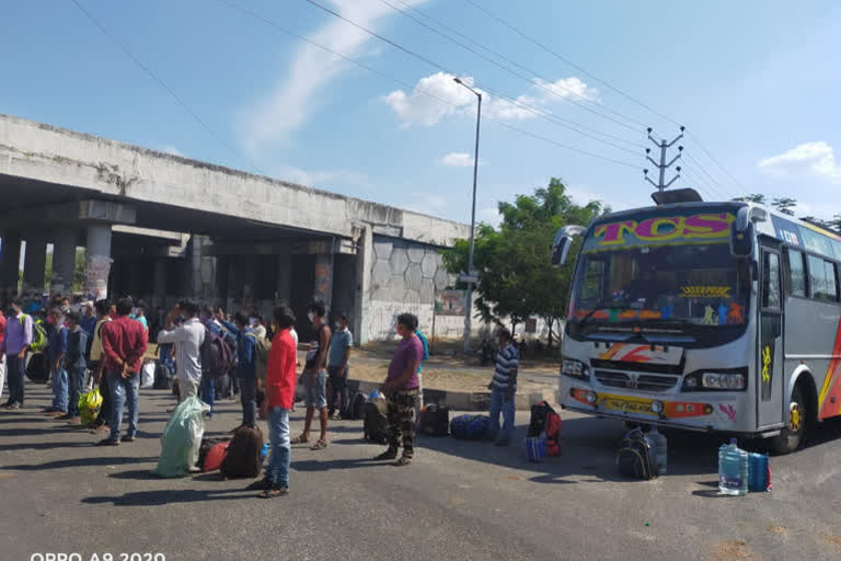 642 buses run daily to ferry migrants from Madhya Pradesh till state borders