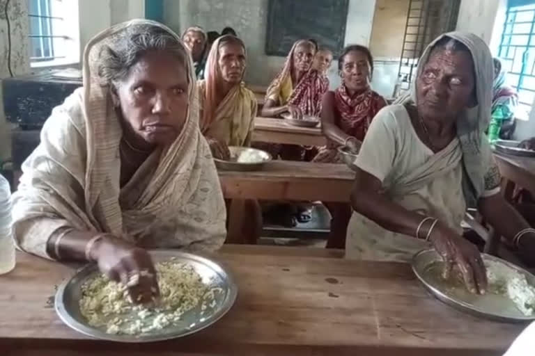 distribute meal for tiger widows