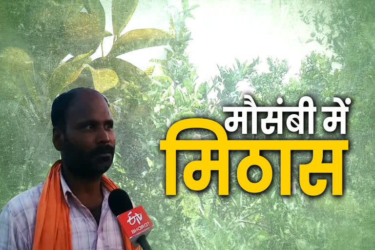 Mausambi became a crop of benefits