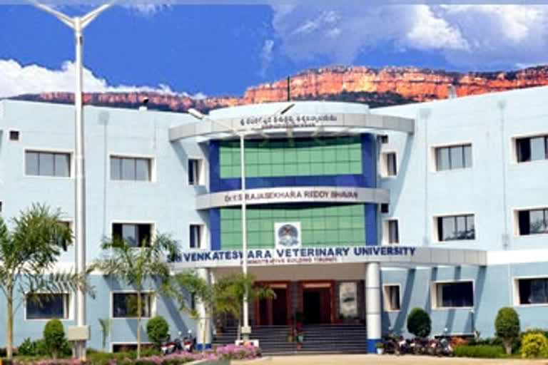 acb enquiry started on veterinary university ex vc in tirupati