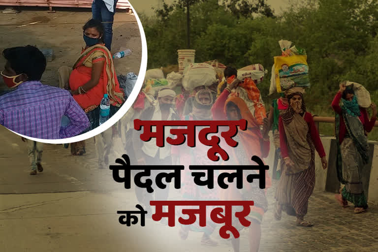 राजस्थान प्रवासी मजदूर यूपी गर्भवती, प्रवासियों से जुड़ी खबर, जयपुर हिंदी न्यूज, राजस्थान समाचार, rajasthan news, jaipur news