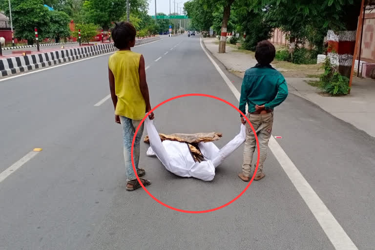 Screenshot from a viral video in which two children can be seen dragging used PPE to carry firewood