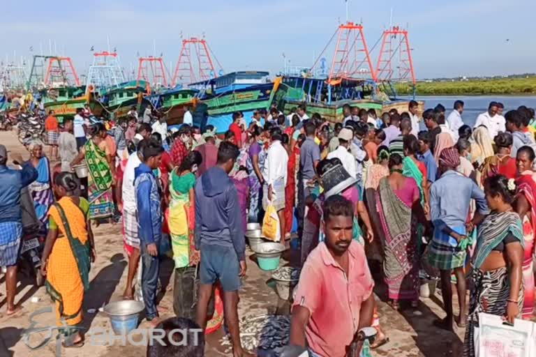 மீன் வாங்க குவிந்த மக்கள்