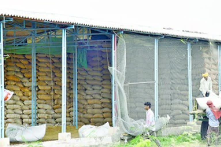 grain is stored in Poultry farms in nizamabad district due to corona crisis