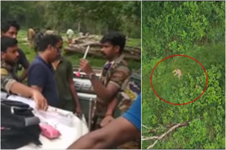 വനം വകുപ്പിന് പിടി കൊടുക്കാതെ കടുവ; മൂന്ന് ഷാര്‍പ്പ് ഷൂട്ടര്‍മാരെ കൂടി നിയോഗിച്ചു  latest pathanamthitta  leopard in pathanamthitta